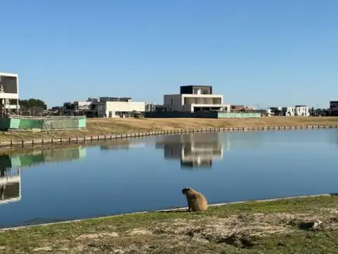 Lote al agua en Los Puentes Nordelta Tigre