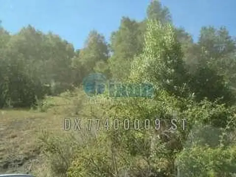 Campo en Venta de 32  ha