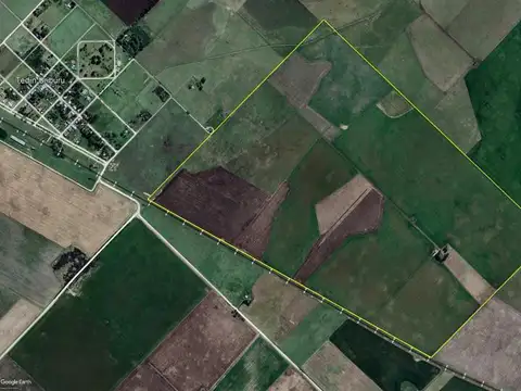 Campo en alquiler - 248 Hectáreas - Benito Juarez
