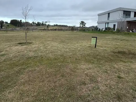 Camino de los horneros 300