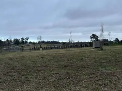 Camino de los horneros 300