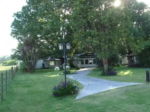 Achaval Y La Adelaida 1 Coronel Brandsen