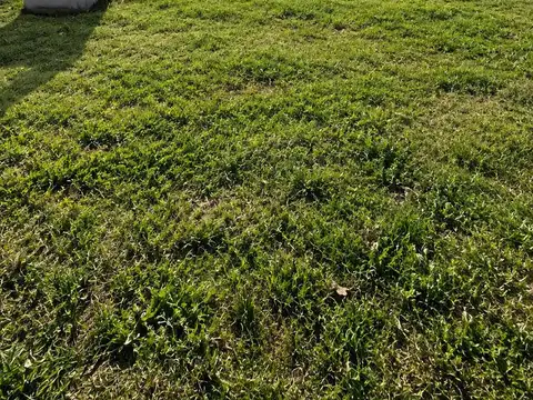 Terreno en Venta 20  mts Frente
