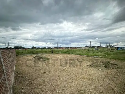 OPORTUNIDAD VENTA TERRENO ECONOMICO EN VILLA NUMANCIA, GUERNICA