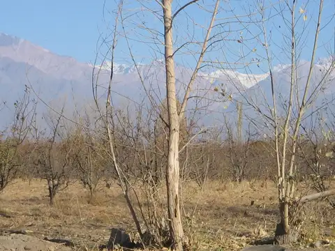 Terreno en Venta de 94000,0 m2