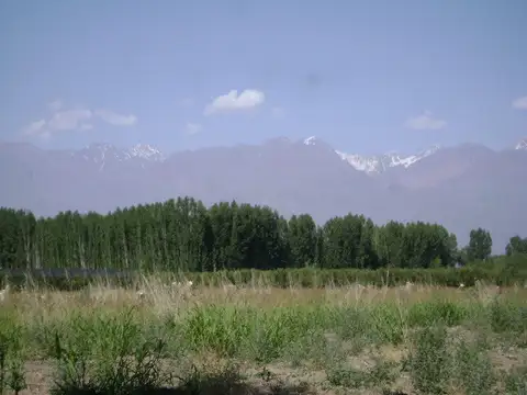 Terreno en Venta 250  mts Frente