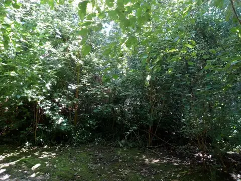 Terreno en Venta 78,26  mts Fondo