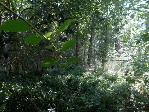 Terreno en Venta de 2426,0 m2