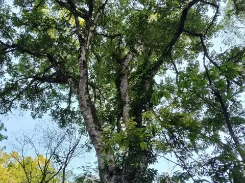 UNA JOYA  PARA  ECOTURISMO