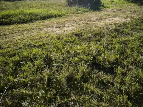 Terreno en Venta 43  mts Fondo