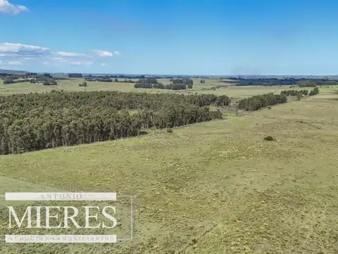 Venta de campo 14 ha en Partido Norte, Maldonado