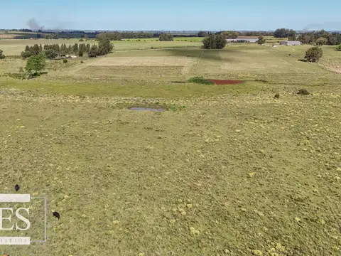Venta de campo 14 ha en Partido Norte, Maldonado