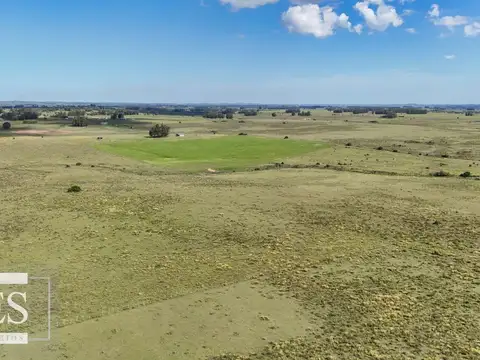 Venta de campo 14 ha en Partido Norte, Maldonado