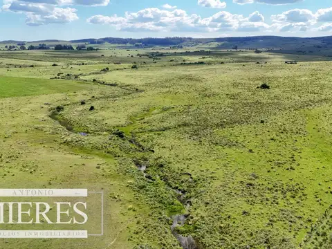 Venta de campo 14 ha en Partido Norte, Maldonado