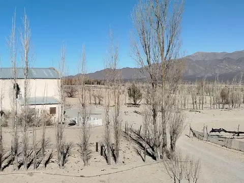 SE VENDE CAMPO EN STA MARÍA, 357 HAS. FACILIDADES