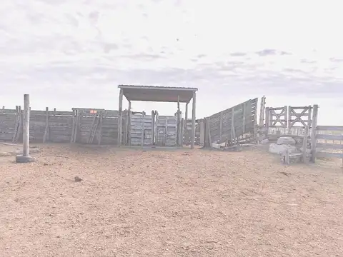 Campo en Venta de 1.500  ha