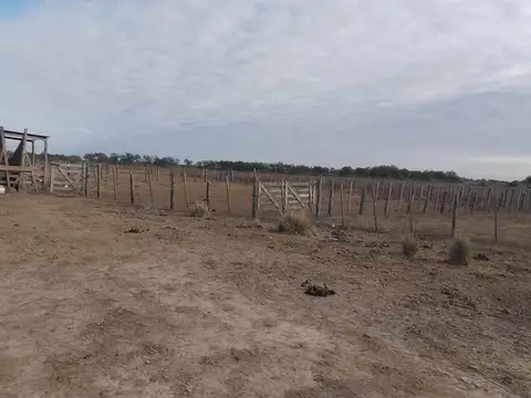 Campo en Venta Ganadero