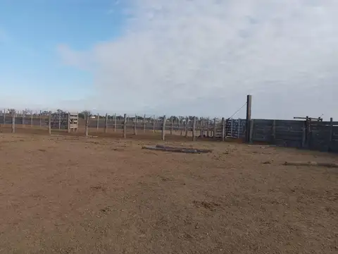 Campo en Venta Ganadero