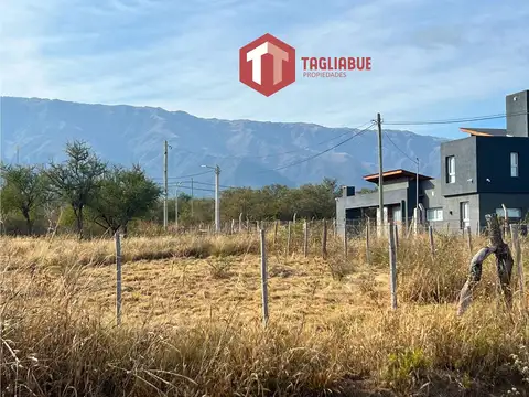 Terreno en Venta 42  mts Fondo