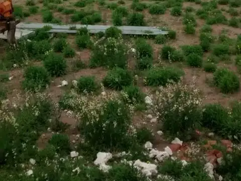 Intersección de las Rutas provinciales 26 y 19.
