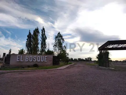 Lote en Venta B° El Bosque II-Rodeo del Medio-ID:253279
