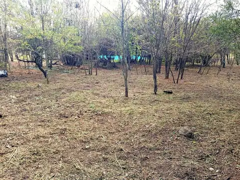 Terreno en Venta en Villa Santa Cruz del Lago, USD 27.000