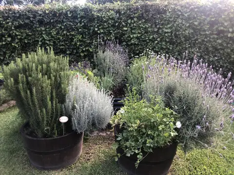Casa en Alquiler Temporal de 3 dormitorios