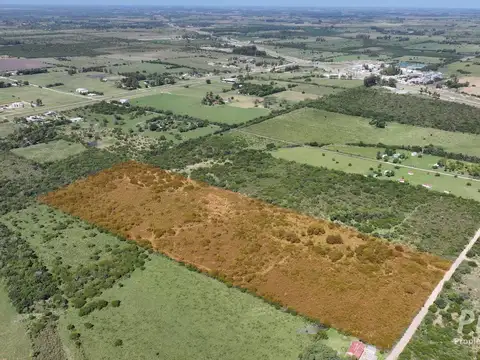 9,88 HAS a 1.635 metros al este de Autovía Ruta N° 14. EJIDO COLON.