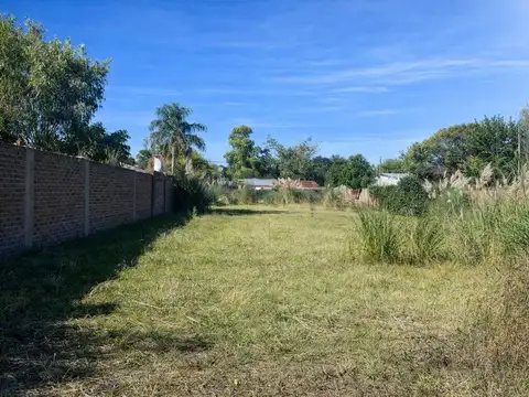 Arenales 3500