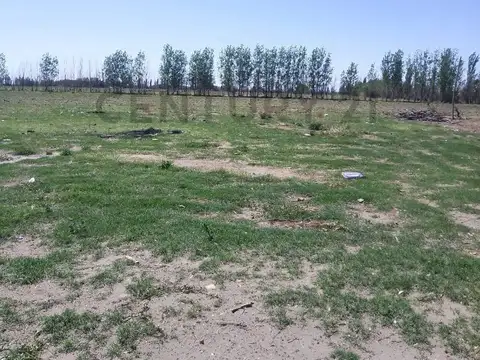 CENTURY21LOPEZ VENDE FINCA EN SAN RAFAEL