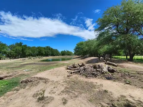 Campo 32,6 Has con 420 mts de frente sobre ruta asfaltada