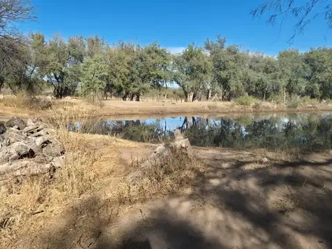 Campo en Venta de 33  ha
