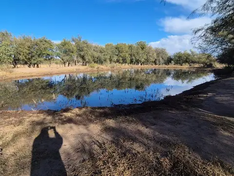 Campo 32,6 Has con 420 mts de frente sobre ruta asfaltada