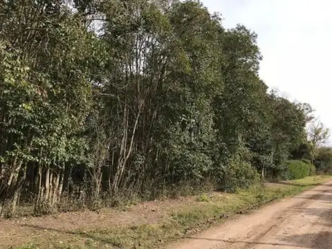 Lote de 2495 M2 en Villa Lia