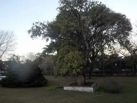 San Lorenzo
