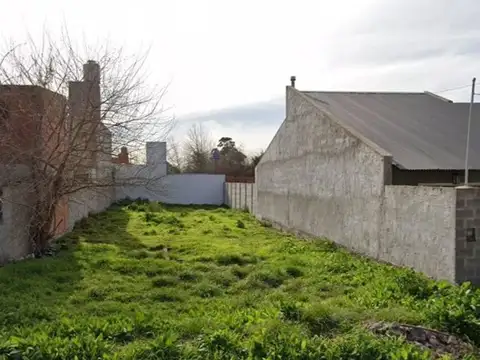 Juan Bautista Alberdi 100