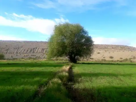 Ruta Provincial Nº 12 , Piso 0