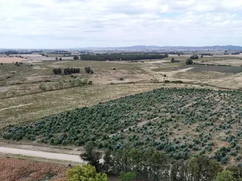 Campo en venta de 30 ha en Solís Grande, Maldonado Uruguay
