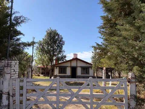 QUINTA EN VENTA - LA PAZ MENDOZA - 2has. 2574m²