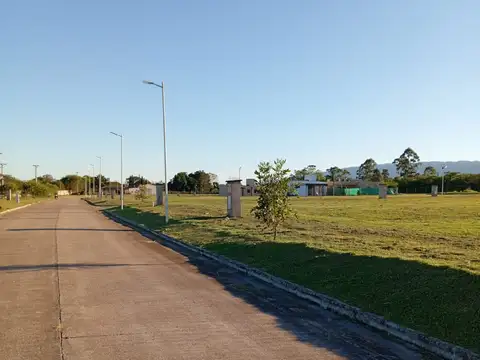 Avenida Crazy Skydiver