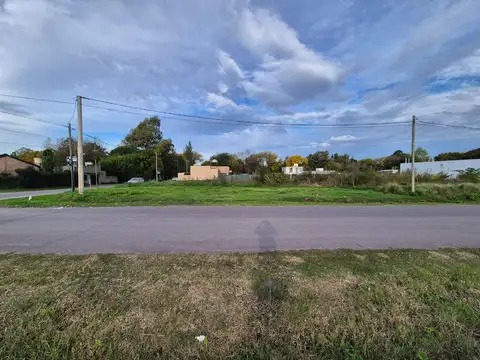 453 y 26