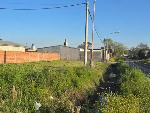 Carlos Leumann y Larguia