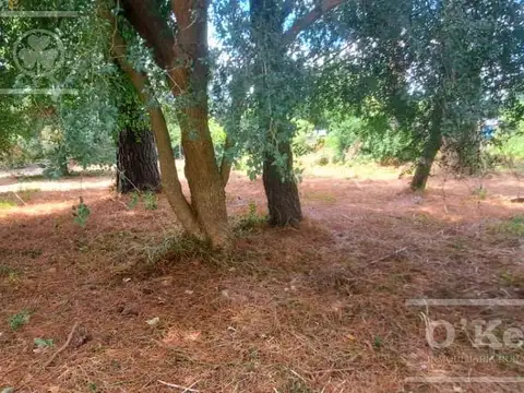 Terreno  en el Pato