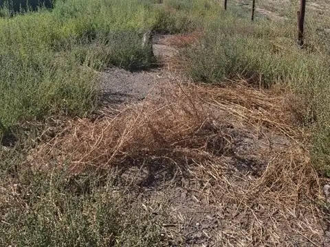 Terreno en Venta de 600,0 m2