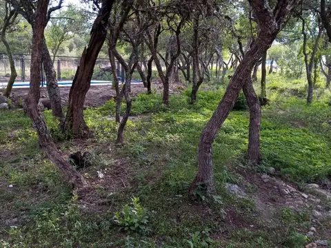 Casa en Alquiler Temporal con 2 cocheras