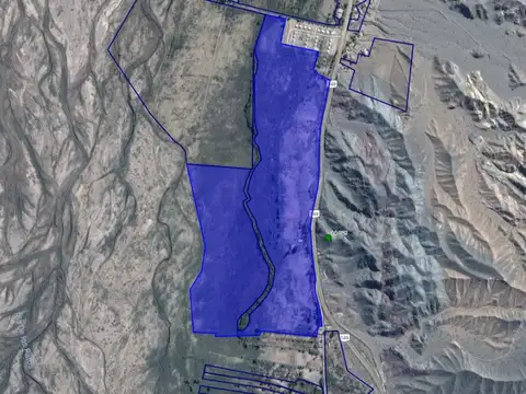 PROPIEDADES RURALES - FRUTICOLA - CALINGASTA