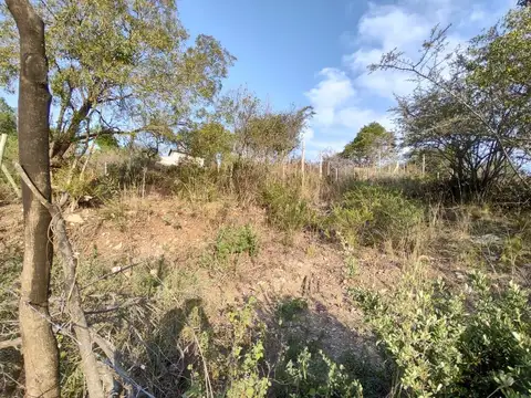 Terreno en Venta 23  mts Fondo