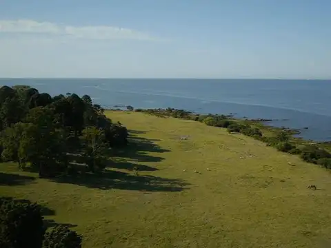 Chacra Uruguay - Barrio Privado