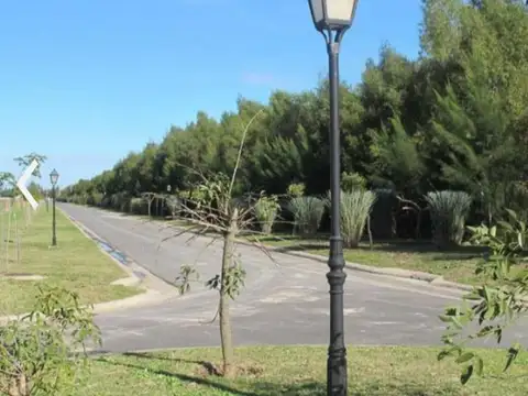 Terreno Lote  en Venta en San Juan, Villanueva, Tigre