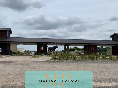 Terreno en Venta 20  mts Frente